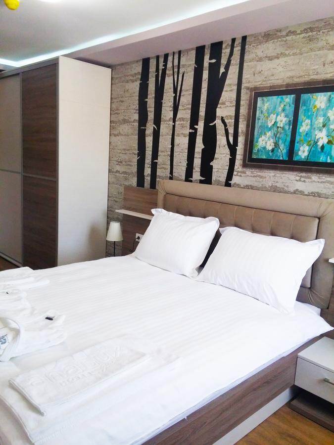 Hotel Ana Lux Spa Pirot Extérieur photo